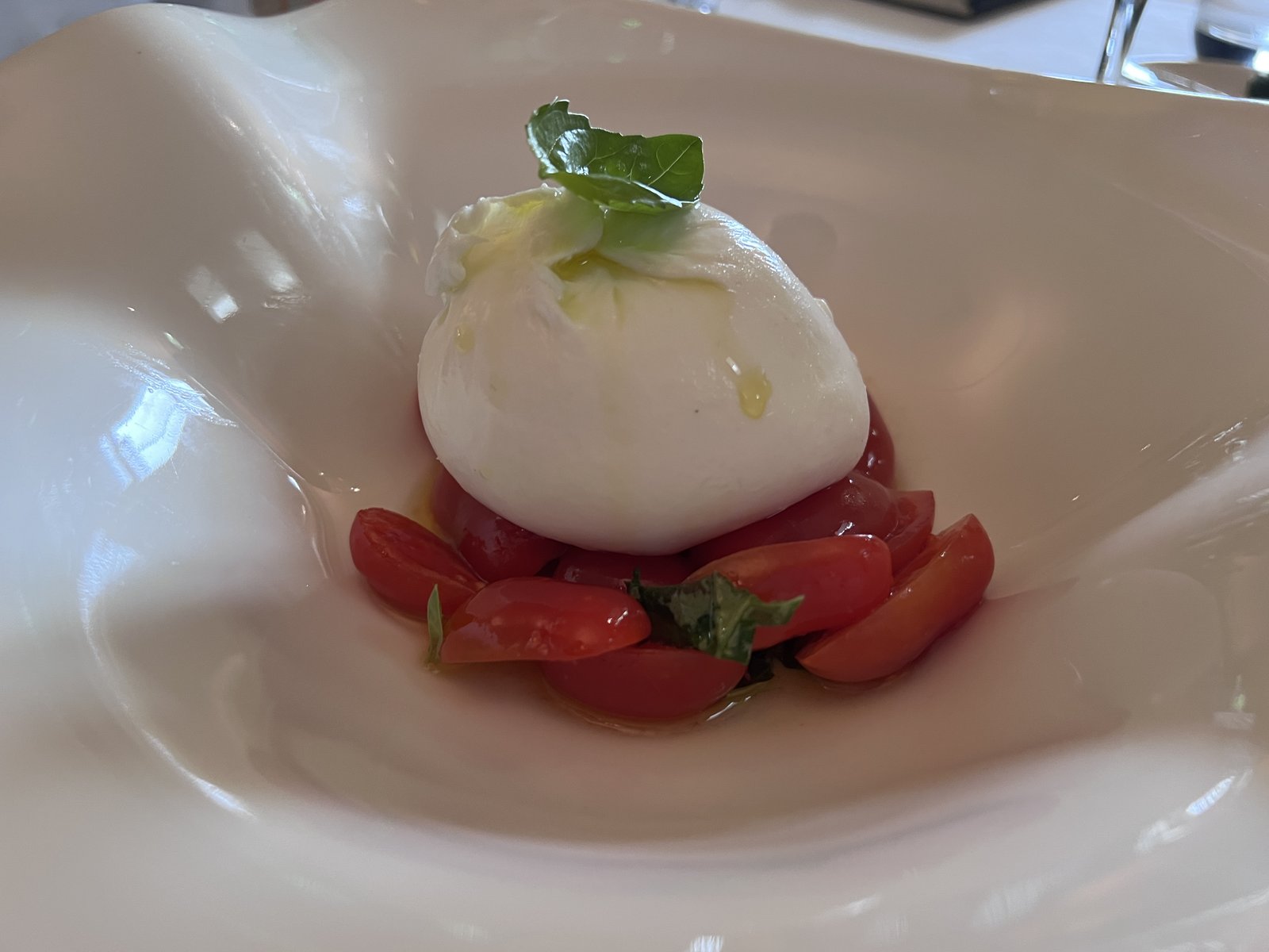 lazagra tomaten mozzarella