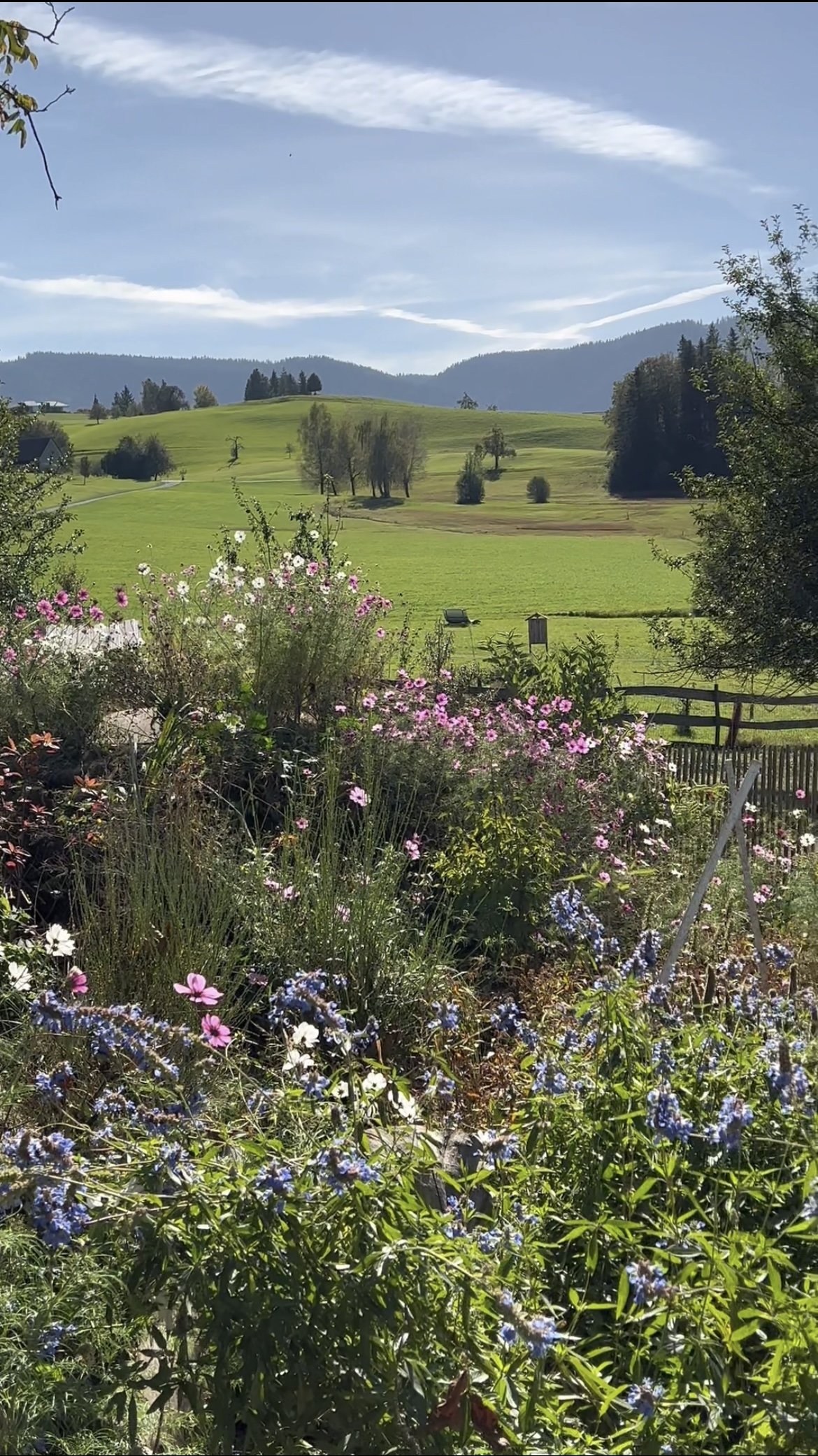 enerqi landgut schönenberg züriplausch landschaft